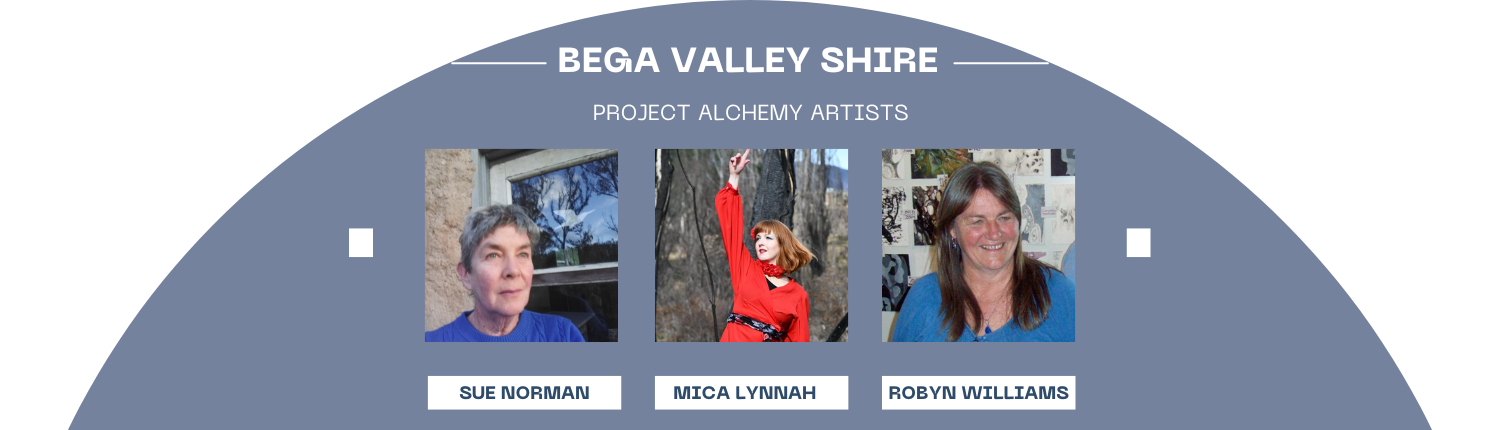 Bega Valley Shire Project Alchemy Artists
