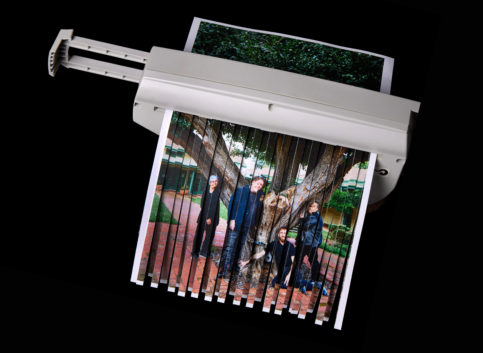 Image of a photo of 4 people in black clothes sit/stand below a big tree posing for the camera being fed through a paper shredder