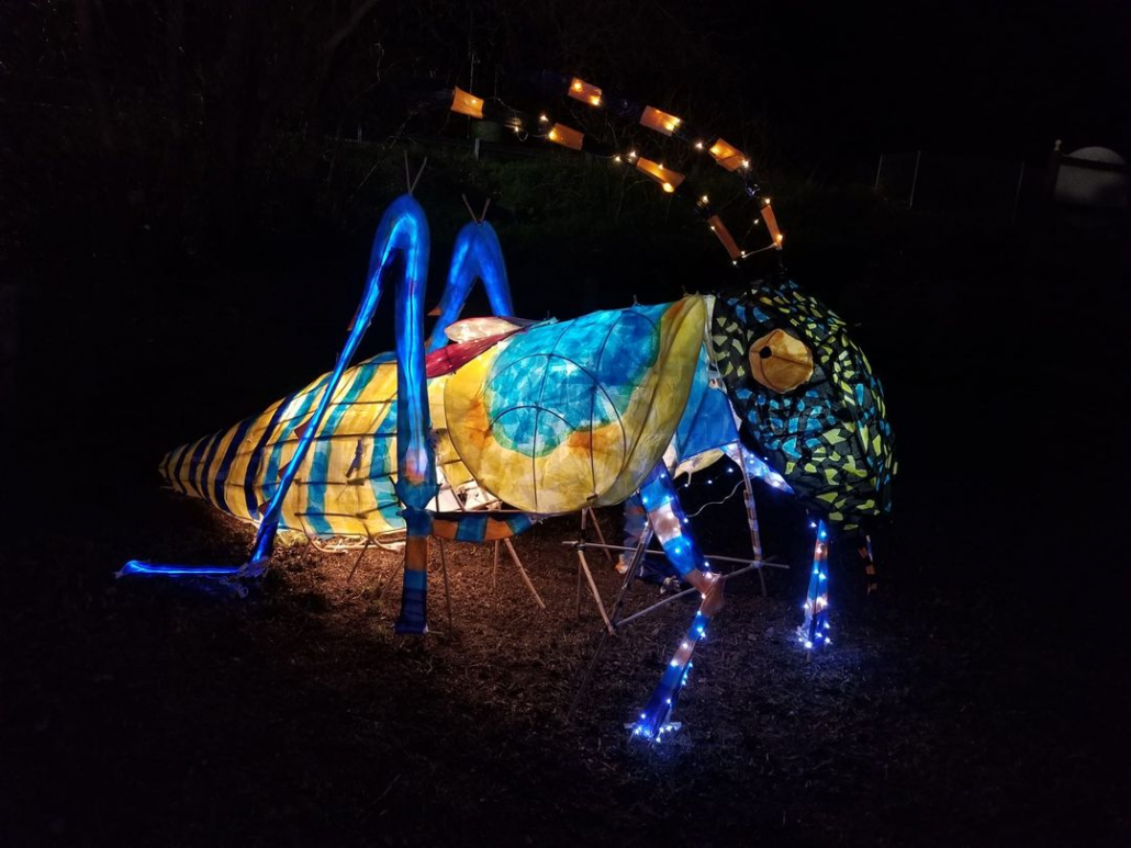 A large colourful lantern sculpture of an grasshopper in blue, green, red, orange and yellow